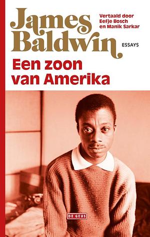 Een zoon van Amerika by James Baldwin