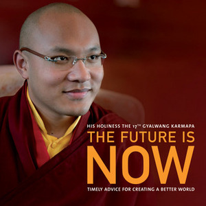 The Future Is Now: Timely Advice for Creating a Better World by Ogyen Trinley Dorje