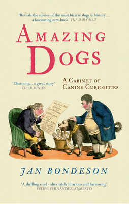 Amazing Dogs: A Cabinet of Canine Curiosities by Jan Bondeson