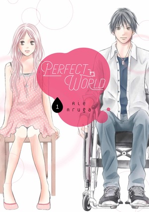 Perfect World, Volume 1 by Rie Aruga