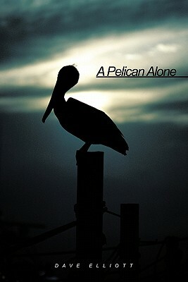 A Pelican Alone by Dave Elliott
