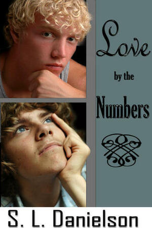 Love by the Numbers by S.L. Danielson