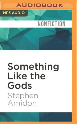 Something Like the Gods: A Cultural History of the Athlete from Achilles to Lebron by Stephen Amidon