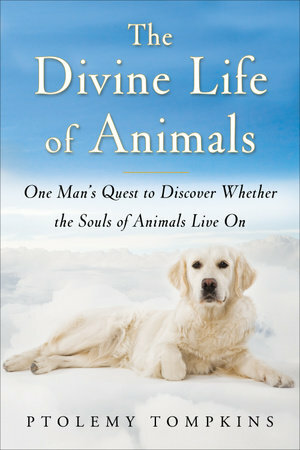The Divine Life of Animals: One Man's Quest to Discover Whether the Souls of Animals Live On by Ptolemy Tompkins