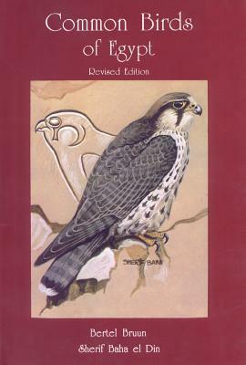 Common Birds of Egypt by Bertel Bruun