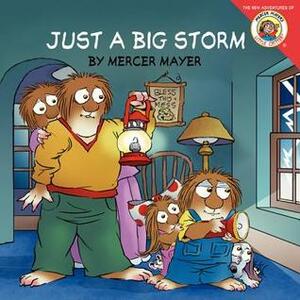 Just a Big Storm by Mercer Mayer