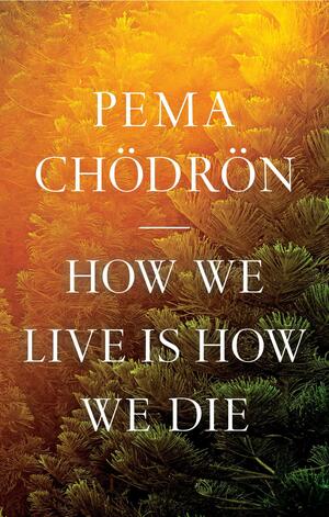 How We Live Is How We Die by Pema Chödrön