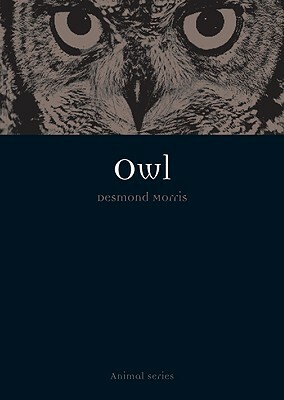 Owl by Desmond Morris