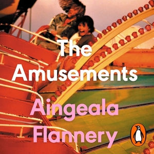 The Amusements by Aingeala Flannery