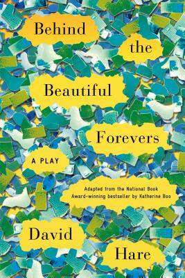 Behind the Beautiful Forevers: A Play by David Hare