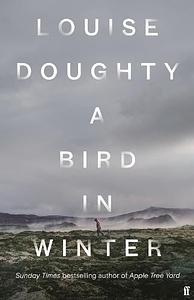 A Bird in Winter by Louise Doughty