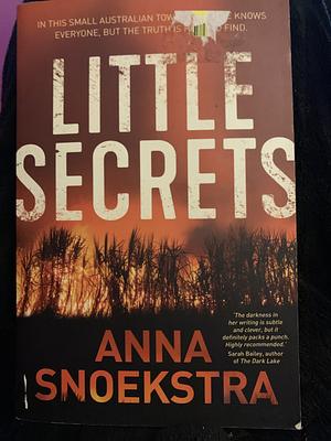 Little Secrets by Anna Snoekstra