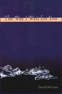 The Way I Wait for You by David McCann