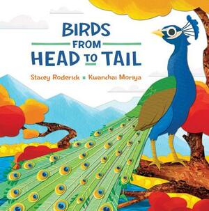 Birds from Head to Tail by Stacey Roderick