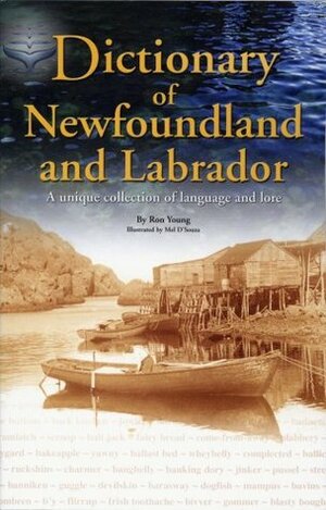 Dictionary Of Newfoundland and Labrador by Ron Young