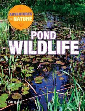 Pond Wildlife by Clare Hibbert