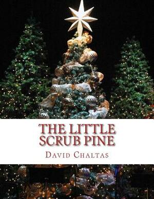 The Little Scrub Pine by David Chaltas