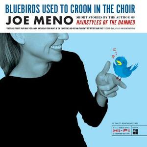 Bluebirds Used to Croon in the Choir: Stories by Joe Meno