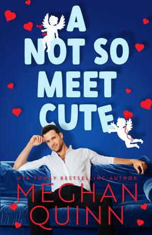 A Not So Meet Cute by Meghan Quinn