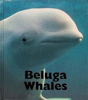 Beluga Whales by Mary Berendes