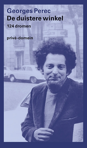 De duistere winkel by Georges Perec