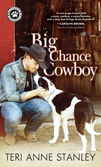 Big Chance Cowboy by Teri Anne Stanley