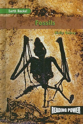 Fossils by Holly Cefrey