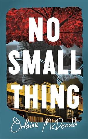 No Small Thing: Shortlisted for the 2024 Nero Book Awards for Debut Fiction by Orlaine McDonald, Orlaine McDonald