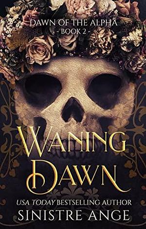 Waning Dawn by Sinistre Ange