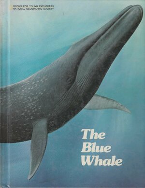 The Blue Whale: The Story of Big Blue by Donna K. Grosvenor