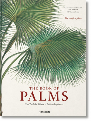 Martius. the Book of Palms by H. Walter Lack