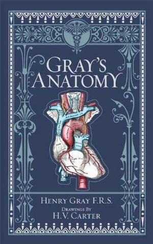 Gray's Anatomy by Peter L. Williams, Henry Gray