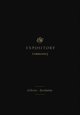 ESV Expository Commentary: Hebrews-Revelation by Robert Plummer, Robert L. Plummer, Iain M. Duguid, Thomas R. Schreiner, James M. Hamilton Jr., Ryan Van Neste, Ray van Neste, Dennis E. Johnson, Jay Sklar, Matthew S. Harmon, Sam Storms