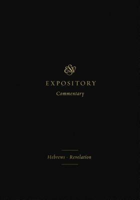 ESV Expository Commentary: Hebrews-Revelation by Thomas R. Schreiner, Matthew S. Harmon, Jay Sklar, Iain M. Duguid, Dennis E. Johnson, Robert L. Plummer, Ray van Neste, Ryan Van Neste, Robert Plummer, James M. Hamilton Jr., Sam Storms