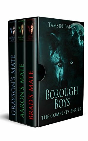 The Borough Boys box-set: The complete collection by Tamsin Baker