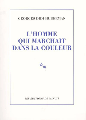 L'homme qui marchait dans la couleur by Georges Didi-Huberman
