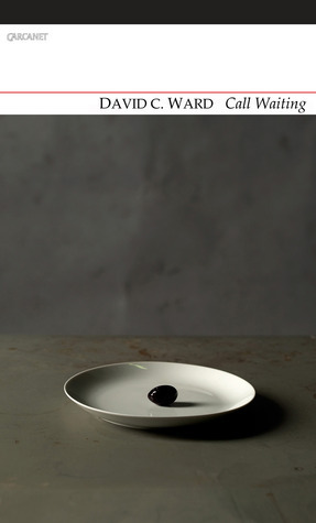 Call Waiting by David C. Ward