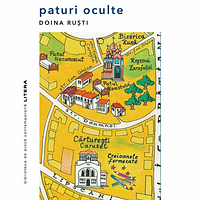 Paturi oculte by Doina Ruști