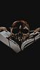 ravens_beautiful_nightmare's profile picture