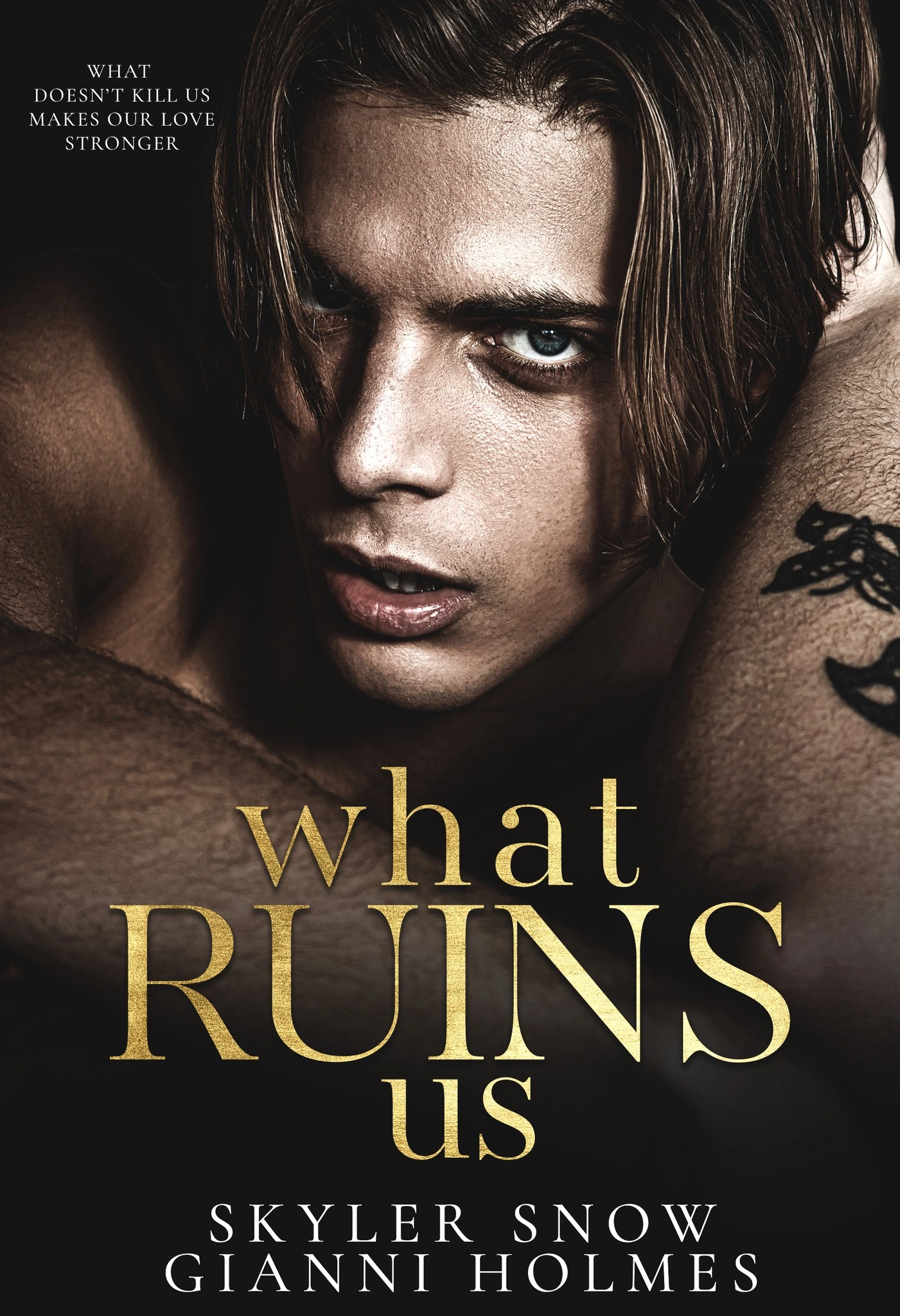 What Ruins Us by Skyler Snow, Gianni Holmes | The StoryGraph