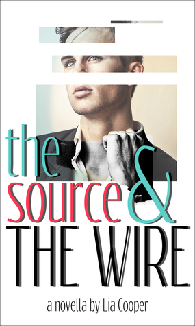 The Source & the Wire by Lia Cooper