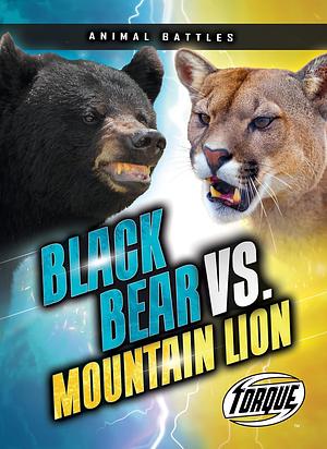 Black Bear vs. Mountain Lion by Nathan Sommer