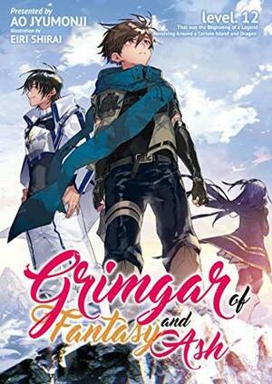 Grimgar of Fantasy and Ash: Volume 12 by Ao Jyumonji