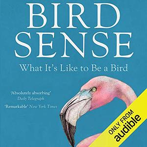 Bird Sense: What It's Like to Be a Bird by Tim Birkhead