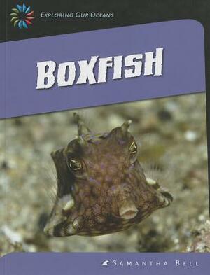 Boxfish by Samantha Bell