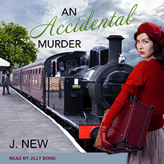 An Accidental Murder by J. New