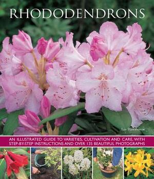 Rhododendrons: An Illustrated Guide to Varieties, Cultivation and Care, with Step-By-Step Instructions and Over 135 Beautiful Photogr by Lin Hawthorne