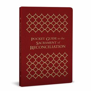 Pocket Guide to the Sacrament of Reconciliation by Mike Schmitz, Josh Johnson