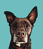 elyeager's profile picture