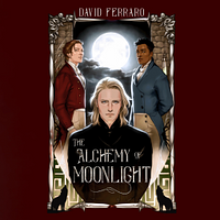 The Alchemy Of Moonlight by David Ferraro